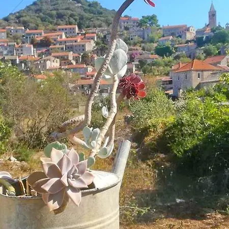 Holiday Holiday home Lastovo